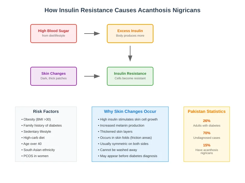 insulin resistance diagram